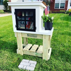 Little Free Library design